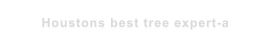 Houstons best tree expert-a
